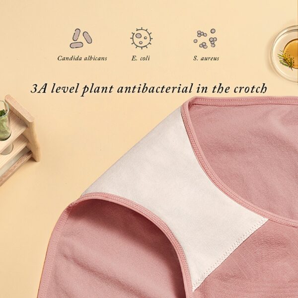 BC Babycare High Waist Maternity Panties Belly Support Pregnancy Underwear Breathable Antibacterial Seamless Briefs Plus Size